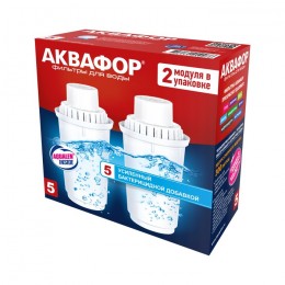 Сменный модуль В5 (В100-5) защита от бактерий (комплект из 2-х штук) в Нижних Сергах